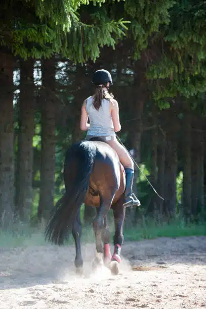 Training process. Young teenage girl riding a horse in forest. Colored outdoors vertical summertime image. View from backside.